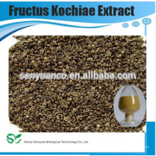 Fructus Kochiae Extract Powder